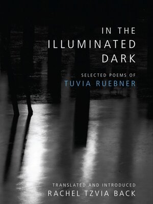 cover image of In the Illuminated Dark